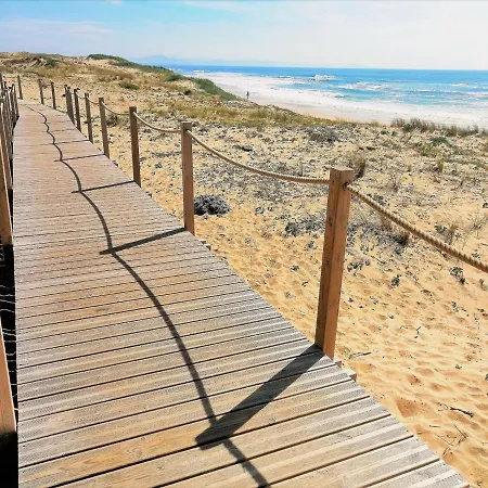 Renove Pres De La Plage, Balcon Sud, Quartier Anime, Parking Gratuit - Fr-1-239-114 * Seignosse